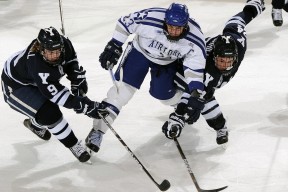 开云下载-《硬核玩家的背后：高水平操作的秘密》，硬核玩家怎么描述